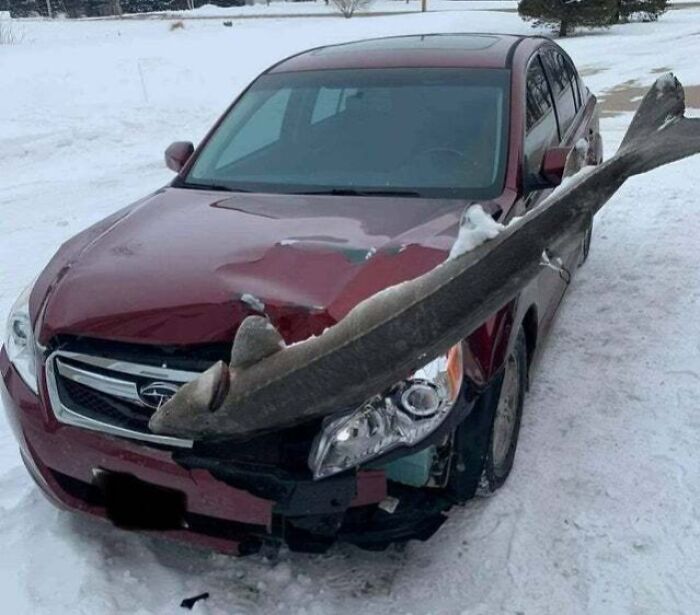 Coche rojo con un pez atravesado en el capó, en un paisaje nevado.