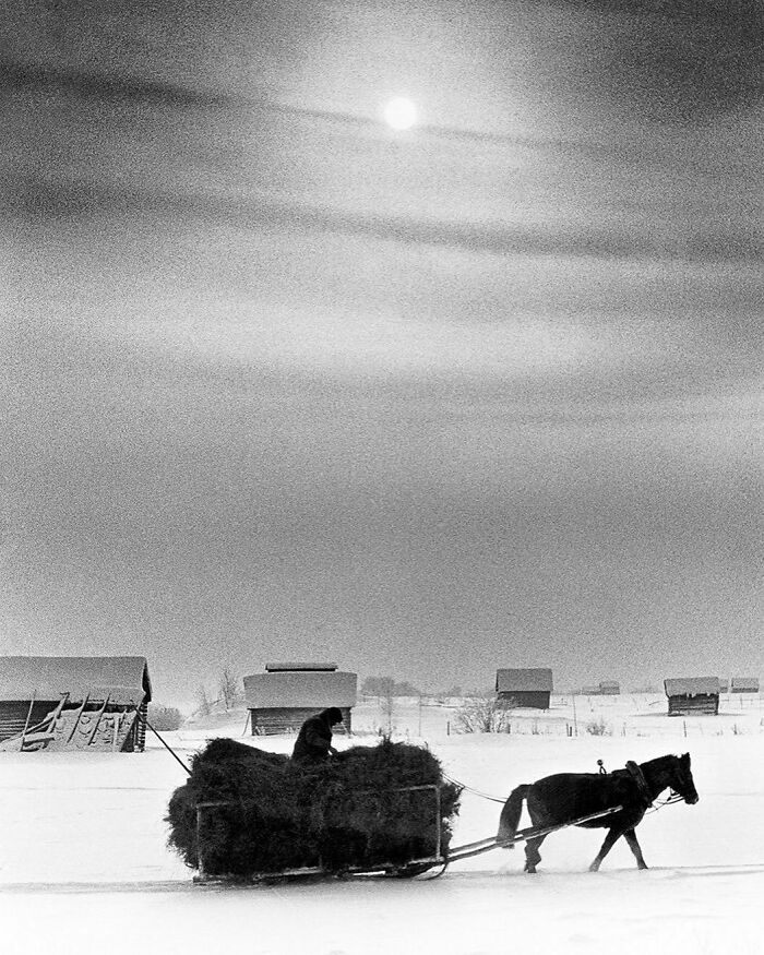 Antigua escena invernal con un caballo tirando un trineo cargado de heno bajo la luna llena.