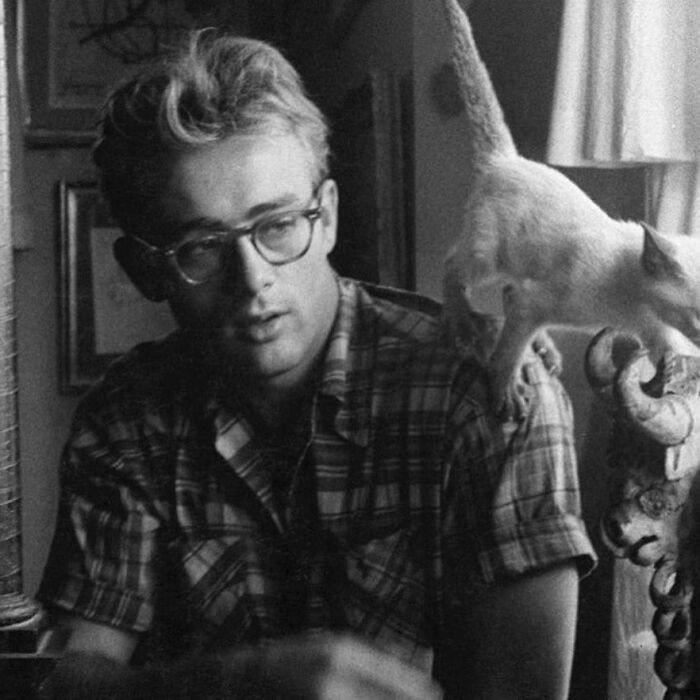 Persona con gafas y camisa a cuadros en una foto antigua, gato siamés en el hombro, algo que ha cambiado hoy.
