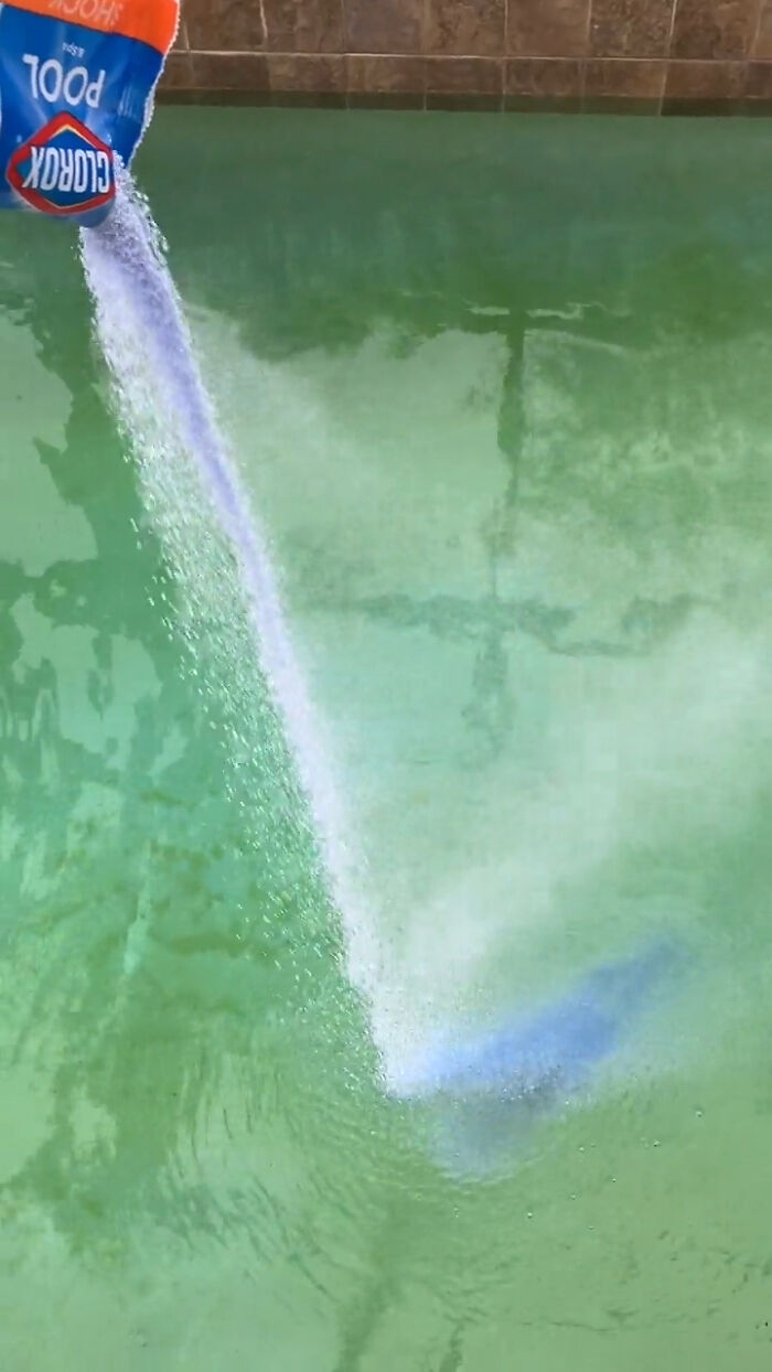Cloro en polvo vertiéndose en una piscina verde, cambiando el color del agua.