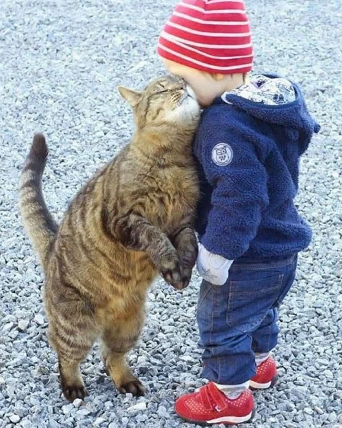Niño pequeño con gorro rojo abrazando a un gato grande en una pose rara y adorable sobre suelo de grava.