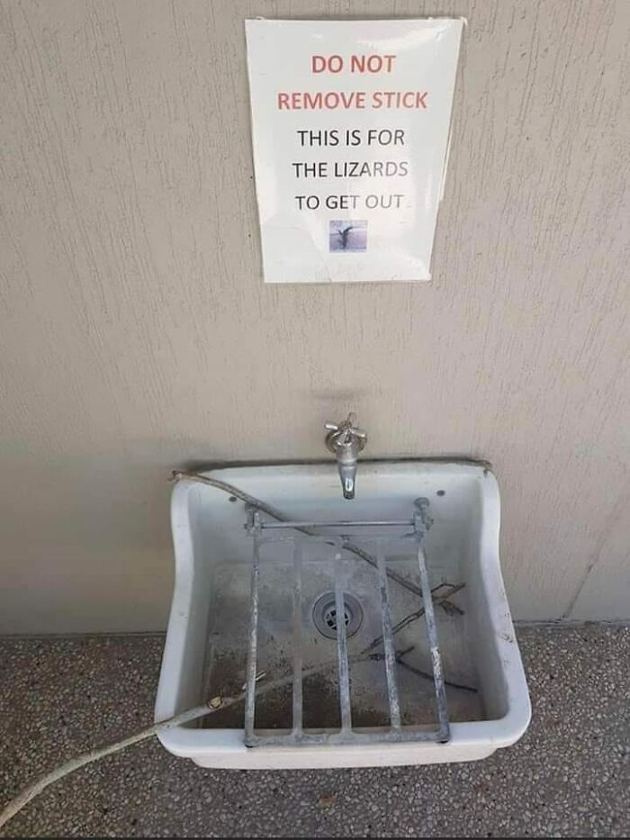 Lavabo con aviso legal divertido para evitar que lagartos entren, ejemplo de avisos legales por demandas.