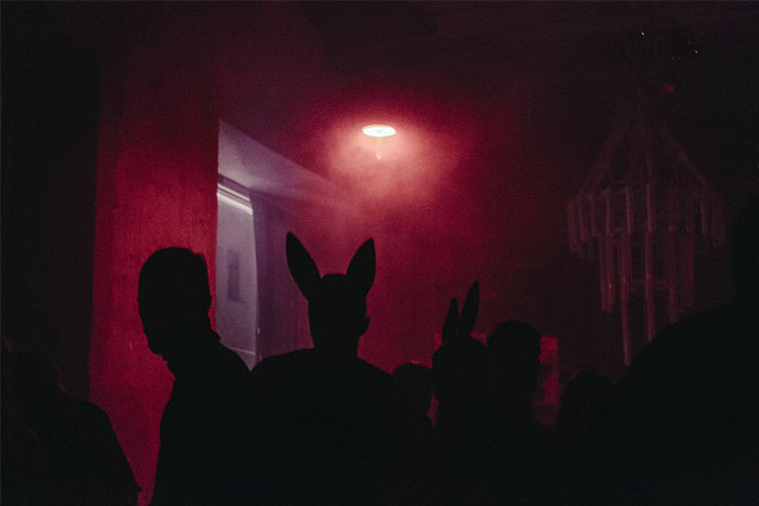 Sombras con orejas de conejo bajo luz roja, creando coincidencias increíbles en una escena misteriosa.