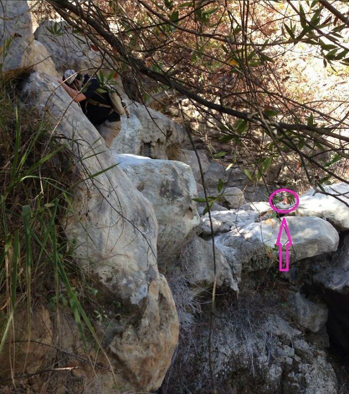 Persona escalando rocas, con flecha rosa señalando un árbol joven en equilibrio, imagen inquietante con historia oculta.