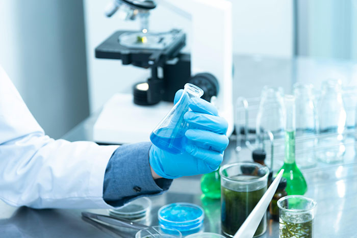Científico con guantes azules sosteniendo matraz en laboratorio, investigando el cuerpo humano.