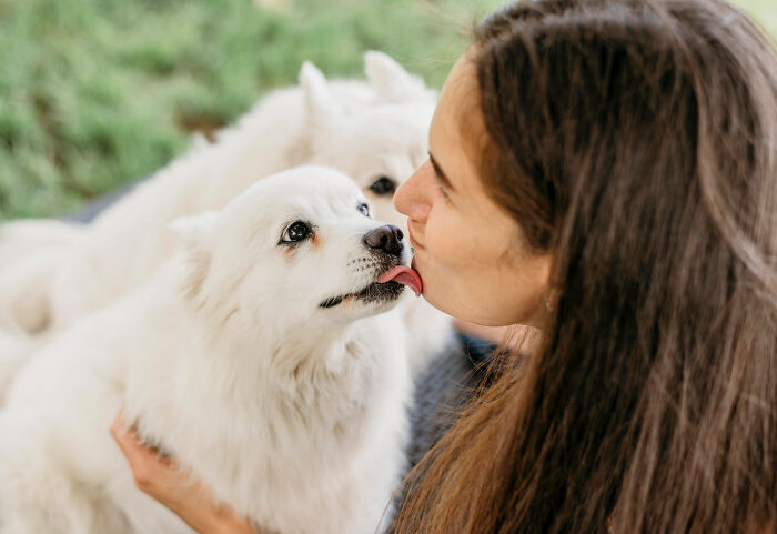 Mujer recibiendo lamido de perro blanco, mostrando actividades aparentemente inofensivas con riesgo oculto de peligro.