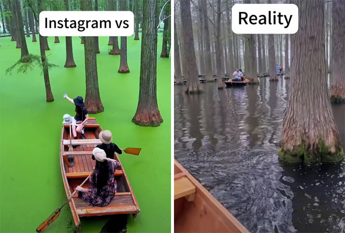 Comparación divertida de Instagram vs. realidad en un paseo en bote en el bosque.