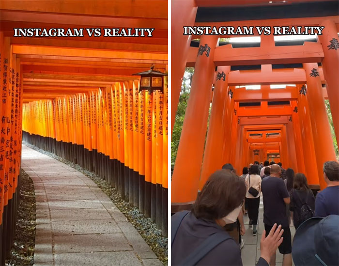 Comparación divertida de Instagram versus realidad en un camino con torii, mostrando la diferencia de multitudes.