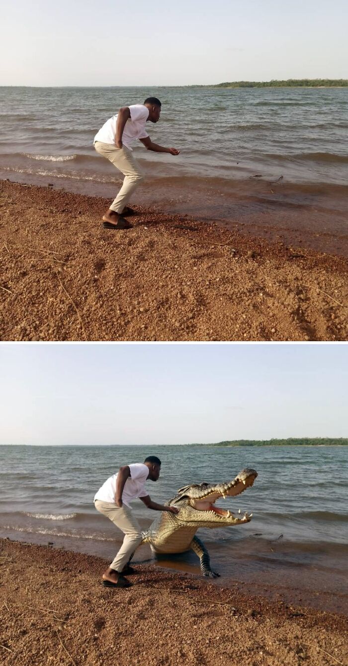 Persona pide editar foto en la playa y recibe un cocodrilo añadido de forma divertida por Photoshop.