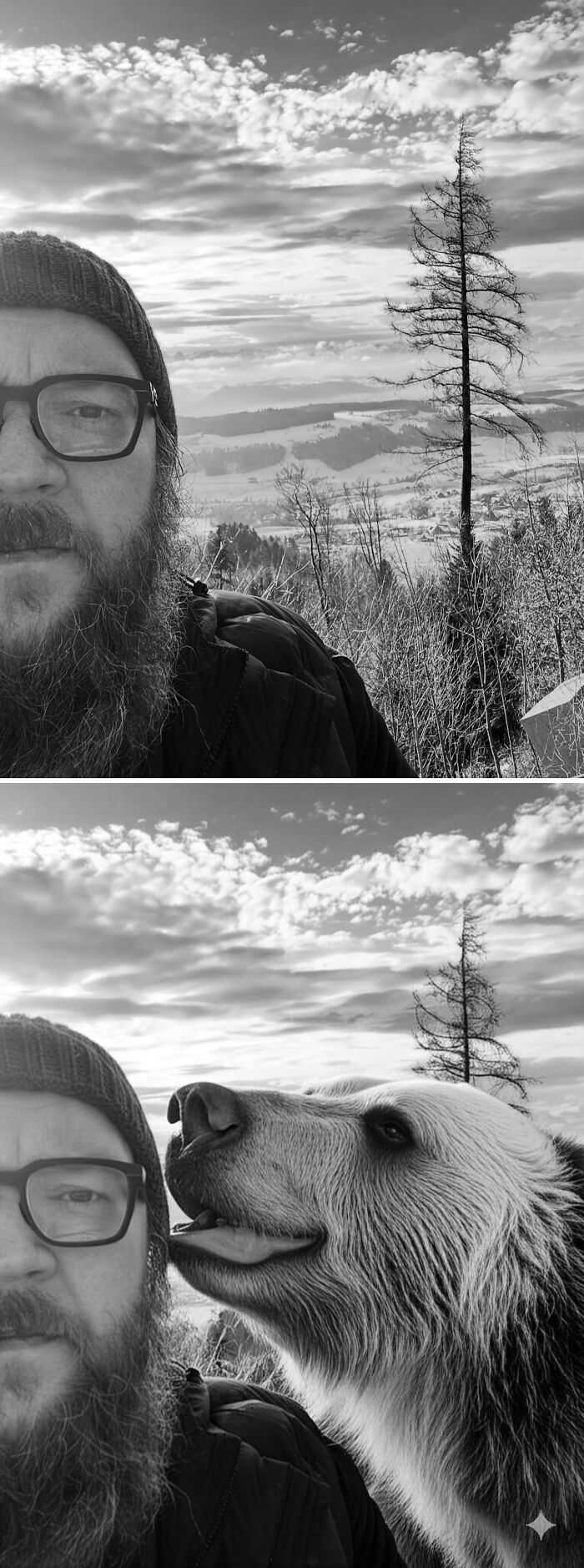 Hombre con barba en paisaje montañoso, editado con Photoshop para agregar un oso detrás.