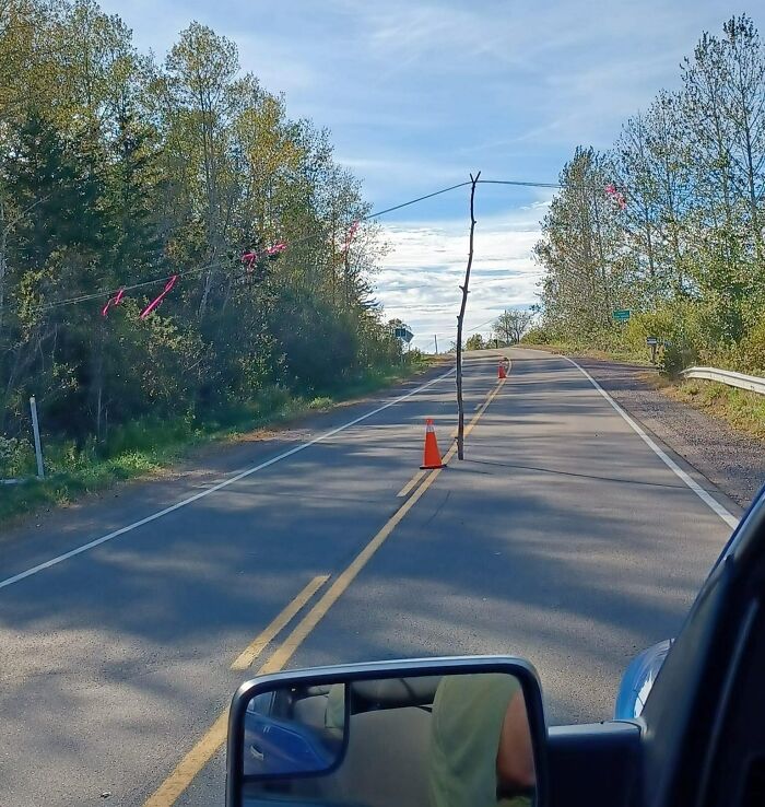 Cono de tráfico y rama improvisada intentan reparar cable caído en carretera.