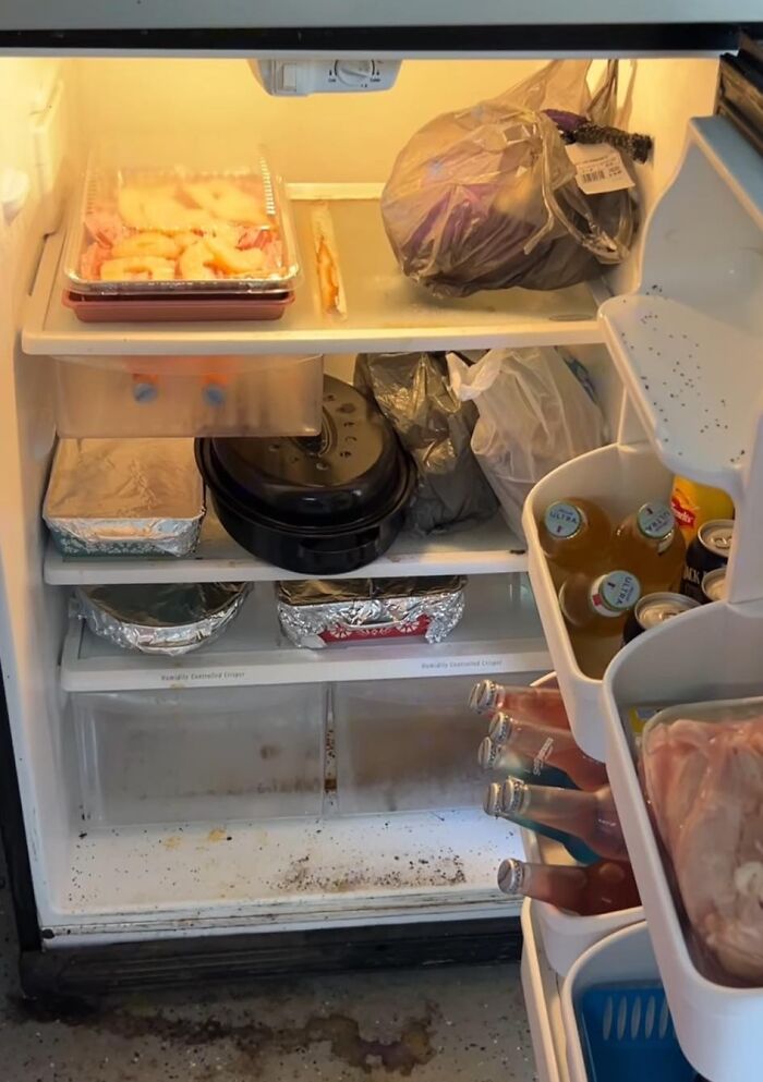 Refrigerador sucio con comidas almacenadas, mostrando asco por la mala higiene y estado de las comidas compartidas.