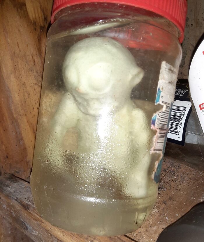 Figura extraña en frasco con líquido, hallazgo inquietante tras mudanza a casa nueva que causó miedo a los residentes.