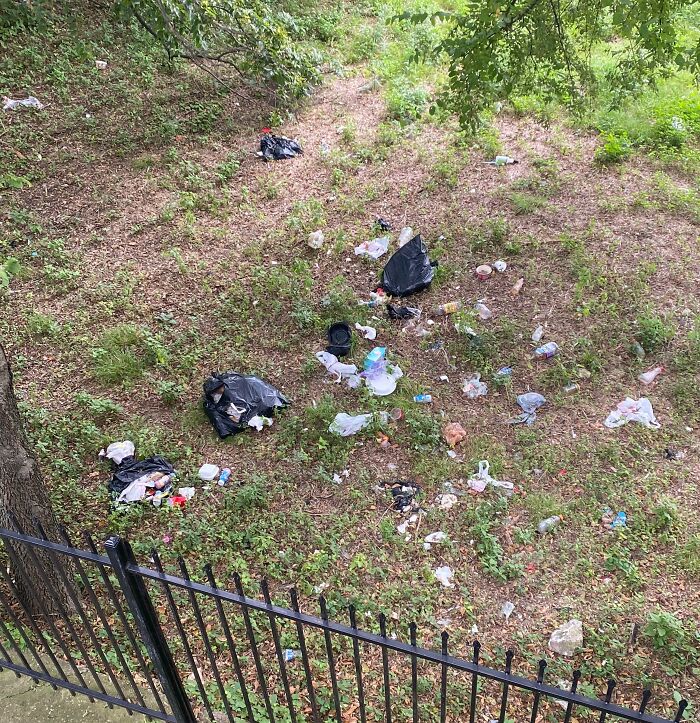 Basura esparcida en área verde mostrando ignorancia y falta de normas básicas de educación y respeto por el ambiente.