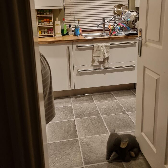 Elefante de peluche en el suelo de una cocina con ambiente que refleja personas con un día peor que el tuyo.
