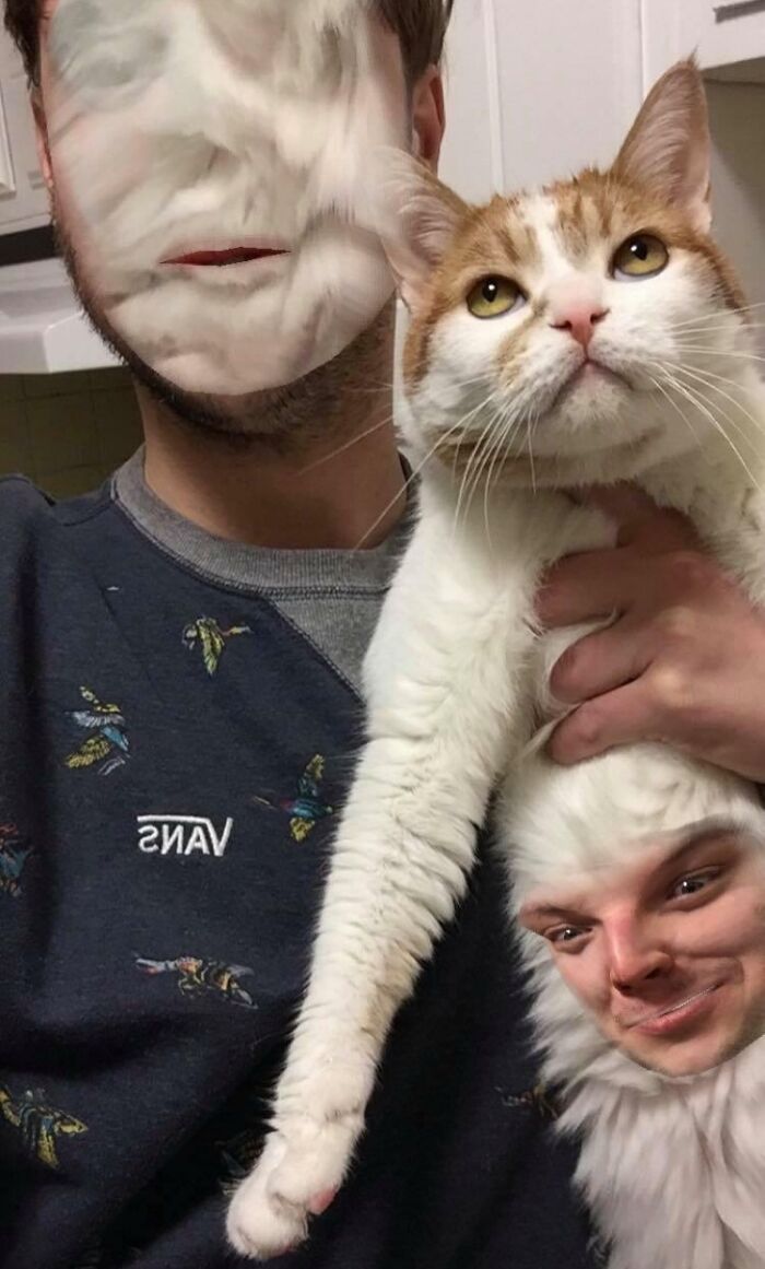 Hombre y gato con caras intercambiadas, mostrando personas que probablemente llevan un día peor que el tuyo.