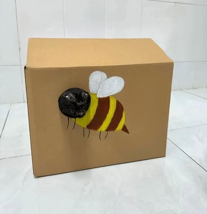 Gato negro asomando su cabeza en caja decorada como abeja, imagen importante de animales que causa sonrisa.