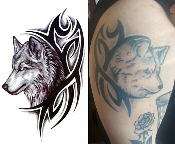 Tatuaje de lobo tribal bien diseñado junto a una versión borroneada que muestra una mala elección de tatuajes.