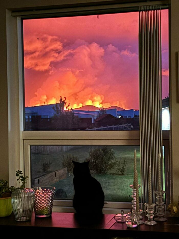 Gato negro mirando a través de la ventana hacia un atardecer con nubes coloridas, mostrando una coincidencia increíble y rara.