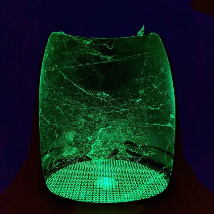 Tela de araña iluminada en verde fluorescente mostrando una perspectiva curiosa en la oscuridad para fotos curiosas.