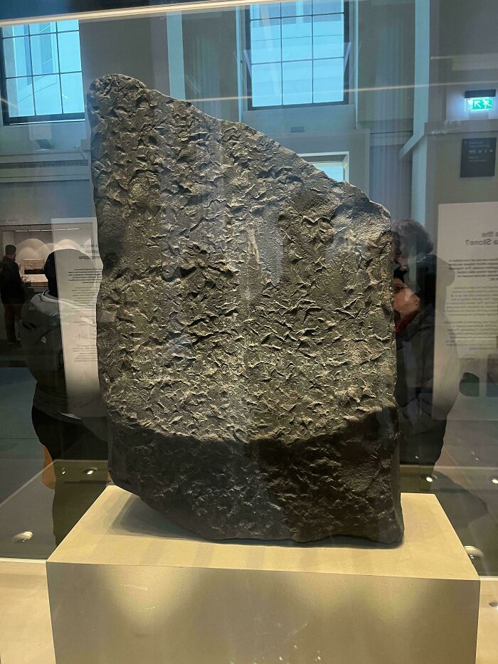 Piedra antigua expuesta en museo con textura rugosa y detalles curiosos para ver las cosas desde otra perspectiva.