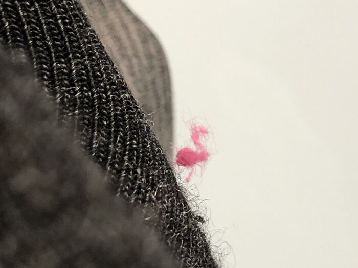 Peluche rosado con forma de flamenco en una prenda tejida negra mostrando una coincidencia increíble.