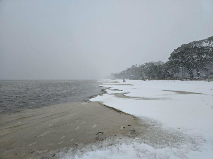 Playa cubierta de nieve con árboles en la costa en una escena curiosa que muestra otra perspectiva natural.