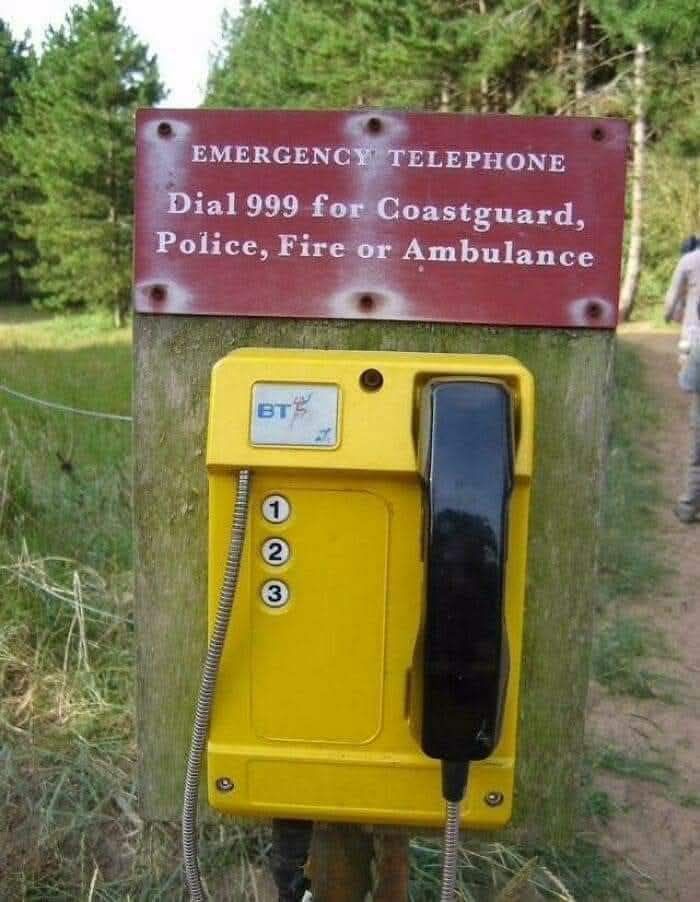 Teléfono de emergencia amarillo en bosque con señal que indica marcar 999 para emergencias afirmaciones incorrectas divertidas.