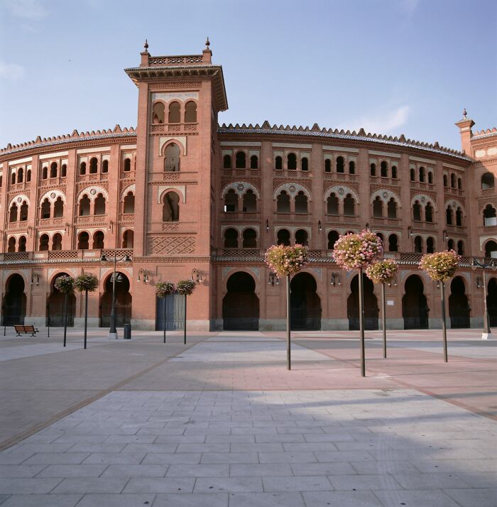 Plaza vacía frente a edificio antiguo de ladrillo con árboles, ilustrando momentos para saber que debían irse ya mismo.