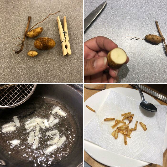 Tubérculos pequeños y fritos que muestran un día peor que el tuyo con papas ínfimas y poco comestibles.