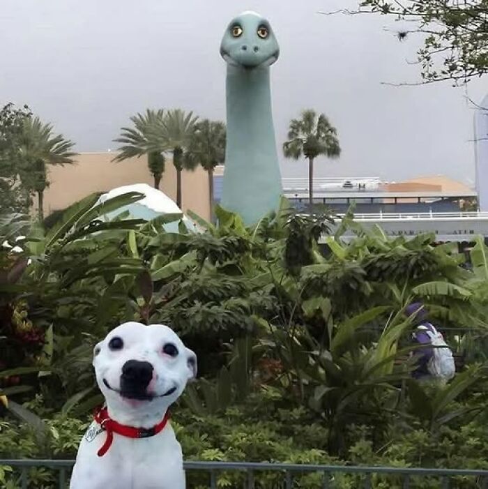 Perro sonriente con collar rojo frente a estatua de dinosaurio entre plantas verdes en espacio exterior.