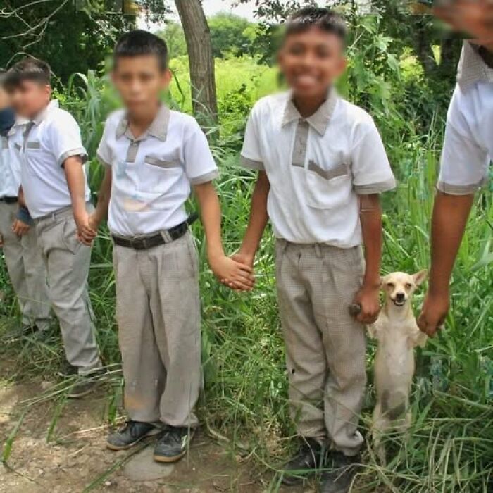 Niños en uniforme escolar formando una cadena de manos en un campo con un perro sonriente junto a ellos imágenes importantes de animales