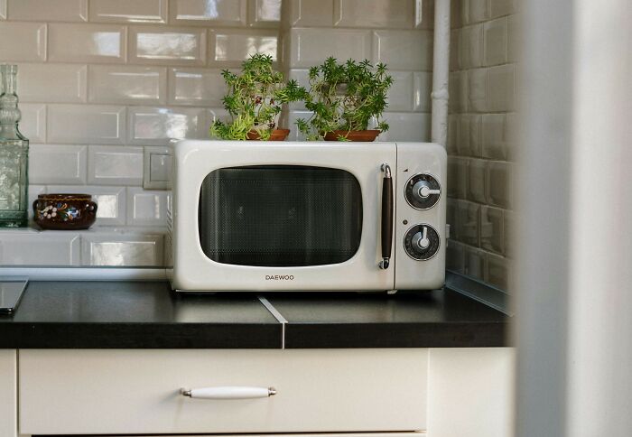 Microondas antiguo en cocina moderna con plantas encima, ilustrando objetos aparentemente inofensivos pero con peligro oculto.