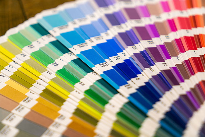 Muestras de colores organizadas en abanico mostrando variedad para diseño y creatividad en fascinantes datos de Hoy aprendí.