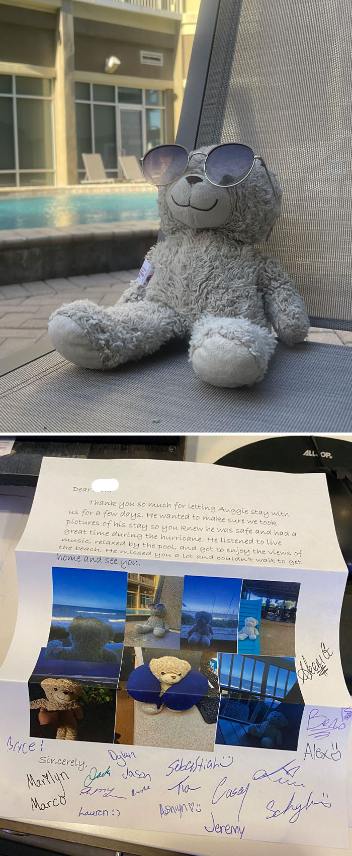 Osito de peluche con gafas de sol junto a una carta y fotos que transmiten momentos positivos y conmovedores.