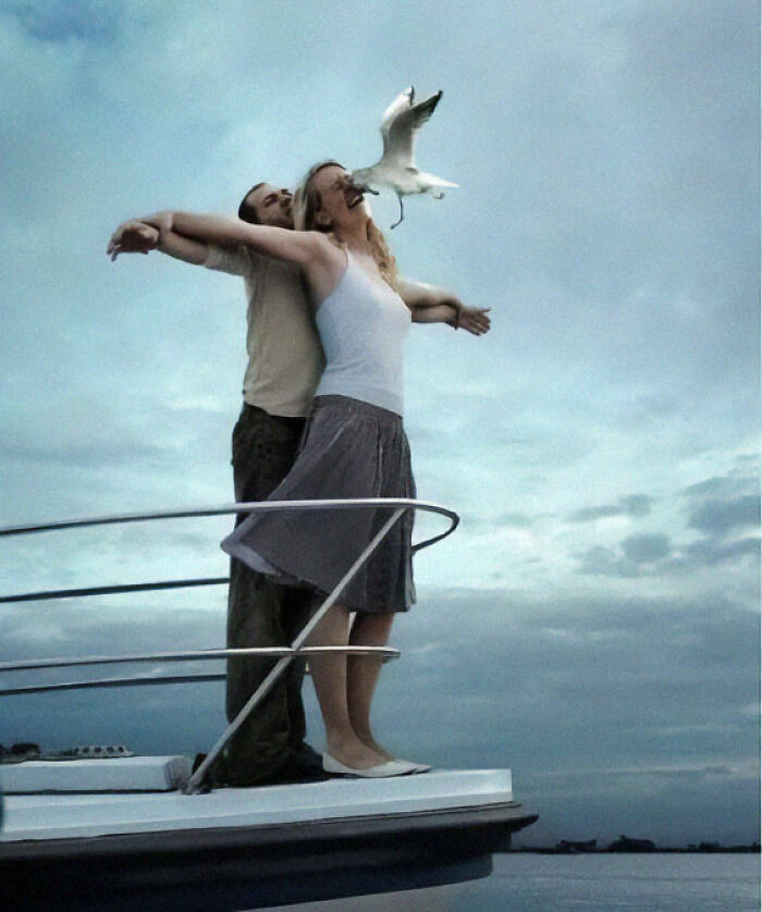 Pareja en proa de barco con gaviota posada en rostro, captura única que menos mal que hicieron una foto sorprendente.