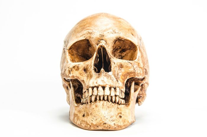 Cráneo humano antiguo sobre fondo blanco ilustrando hallazgos extraños en autopsias por expertos forenses.