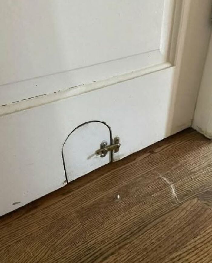 Pequeña puerta con pestillo en la parte inferior de una puerta blanca, un descubrimiento curioso en casas olvidadas.