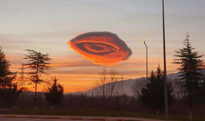 Nube con forma sorprendente al atardecer, paisajes naturales y árboles, una coincidencia increíble en el cielo.