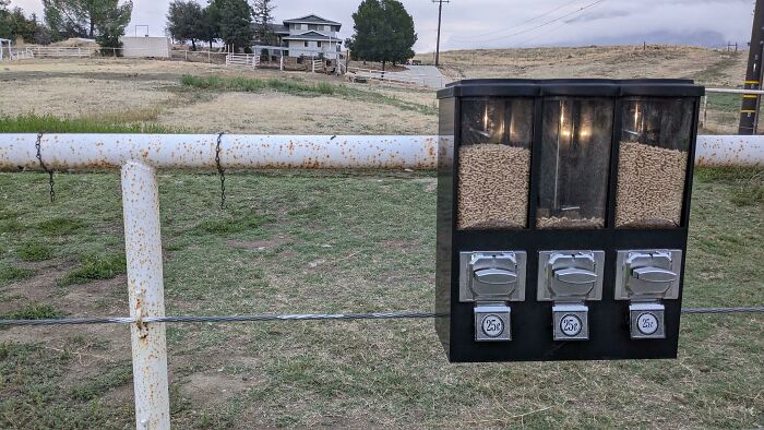 Dispensador de pellets en cerca de granja, una solución genial a problemas habituales en entornos rurales.
