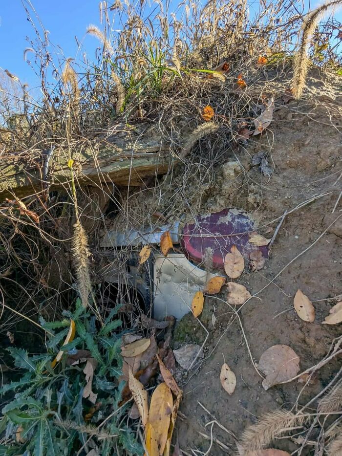 Electrodoméstico enterrado en tierra y rodeado de hojas secas y plantas, mostrando una cosa que salió mal.