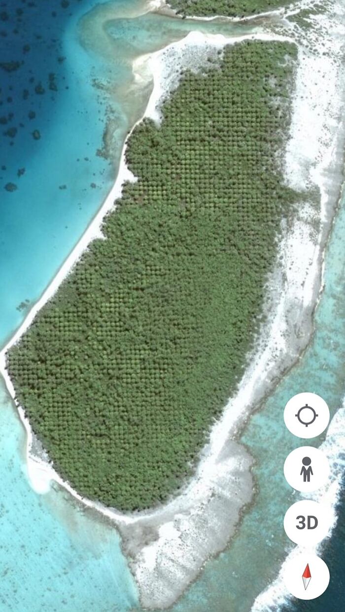 Isla misteriosa con vegetación densa vista desde Google Earth, uno de los lugares raros encontrados en mapas satelitales.