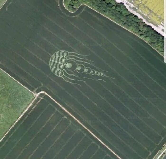 Campo con un diseño raro y misterioso en forma de medusa, uno de los lugares misteriosos encontrados en Google Earth.