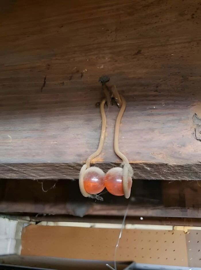 Descubrimientos curiosos en casas olvidadas con objetos antiguos y detalles sorprendentes en espacios abandonados.