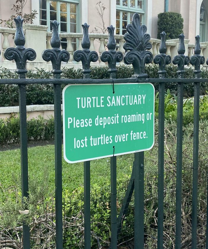 Cartel en santuario de tortugas indicando dónde dejar tortugas extraviadas, imagen interesante para compartir y explorar.