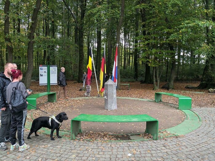 Personas con perro en parque rodeado de árboles junto a monumento con banderas en fotos interesantes