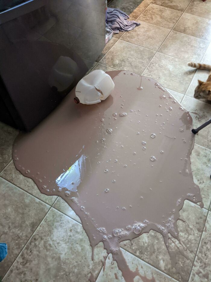 Leche derramada en el suelo de la cocina con gato mirando, situación típica de padres teniendo un día peor que el tuyo.