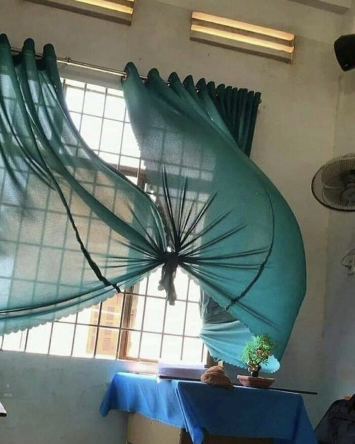 Cortinas verdes rotas al viento en una habitación con ventana grande, ejemplo de personas que menos mal hicieron una foto.