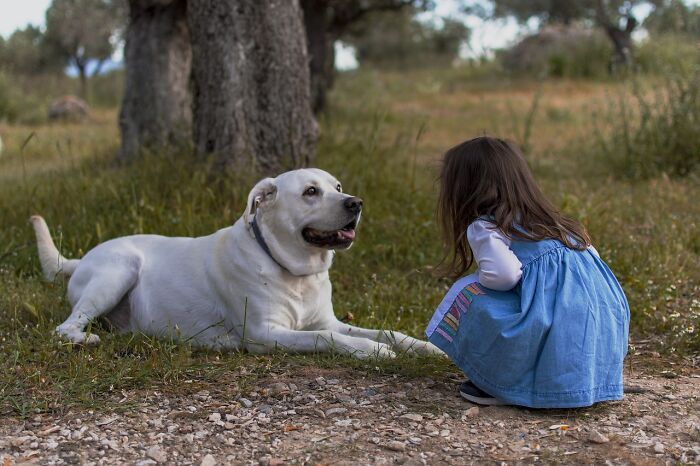 Niña agachada frente a un perro blanco en un campo, ilustrando consejos vitales de personal sanitario y de emergencias.