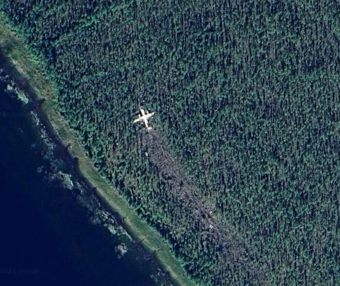 Avión estrellado visible desde Google Earth en un misterioso lugar rodeado de bosque denso cerca de un cuerpo de agua.